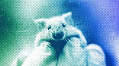Мнение: эксперименты на животных не спасут нас от диабета - ru.euronews.com - Англия