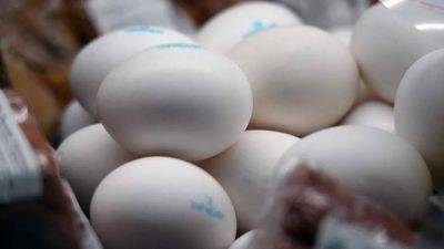 Олег Павлов - Станислав Наумов - В ОПИ предложили властям ввести фиксированную цену на яйца в РФ - smartmoney.one - Россия