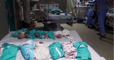 В крупнейшей больнице Газы младенцев греют фольгой из-за нехватки энергии, — Минздрав Палестины - focus.ua - Украина - Израиль - Палестина