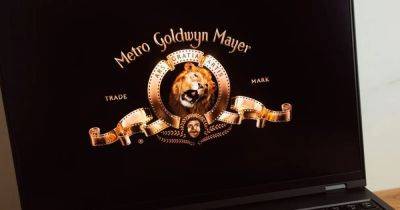 Вы всю жизнь представляли львиный рык неправильно: грозный лев в заставке MGM рычит под фонограмму - focus.ua - Украина