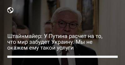 Владимир Путин - Штайнмайер Франк-Вальтер - Штайнмайер: У Путина расчет на то, что мир забудет Украину. Мы не окажем ему такой услуги - liga.net - Россия - Украина - Германия