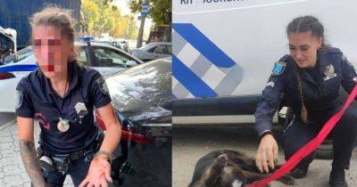 Нет нарушений со стороны патрульной: завершено внутреннее расследование стрельбы в Днепре - focus.ua - Украина - Днепр