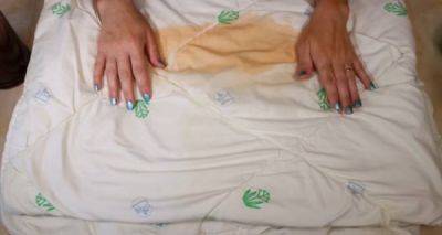 Как отстирать пятна на одеяле: пять действенных способов - politeka.net - Украина - Україна