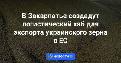 В Закарпатье создадут логистический хаб для экспорта украинского зерна в ЕС - smartmoney.one - Москва - Россия - Украина - Закарпатская обл.