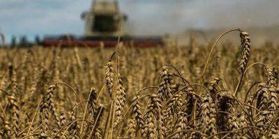 На почти 134 млрд грн. Уровень «черного» экспорта зерна достиг 20% от общего количества — БЭБ - biz.nv.ua - Китай - Украина