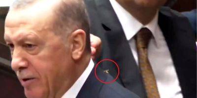 Реджеп Тайип Эрдоган - Настоящий профессионал. Охранник Эрдогана спас его от осы — видео - nv.ua - США - Украина - Вашингтон - Турция - Охранник