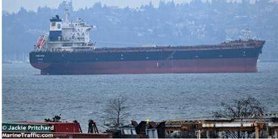 Зерновоз наткнулся на морскую мину возле украинского порта — Reuters - nv.ua - Россия - Украина - Грузия - Одесса - Либерия - Южный - Судно