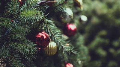 Как украсить новогоднюю елку в год Дракона, чтобы привлечь удачу и достаток: важные советы - hyser.com.ua - Украина
