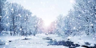 Вера Балабух - Сильные морозы или плюсовая температура: метеоролог предоставила предварительный прогноз погоды на каждый месяц зимы - nv.ua - Украина