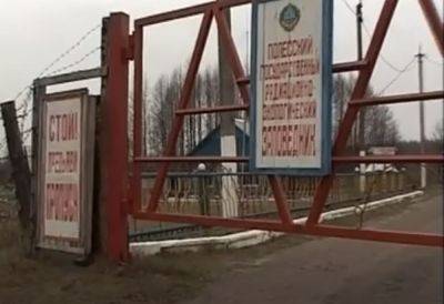 Его не видели с прошлого столетия: в Чернобыльском заповеднике появился редкий хищник (фото) - ukrainianwall.com - Украина - Белоруссия