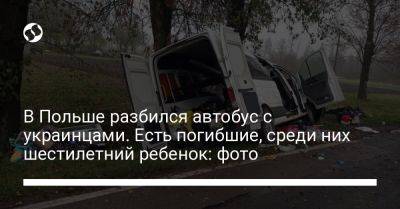 В Польше разбился автобус с украинцами. Есть погибшие, среди них шестилетний ребенок: фото - liga.net - Украина - Киев - Польша