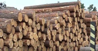 Украинцы получат бесплатные дрова и уголь: куда обращаться, не поленитесь оформить - ukrainianwall.com - Украина