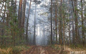 30-летнего мужчину нашли мертвым в лесу под Мяделем - charter97.org - Белоруссия