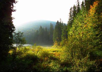 Карпаты и озеро Синевир в ноябре - осенние фото природы в нацпарке Синевир - apostrophe.ua - Украина