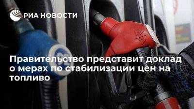 Владимир Путин - Путин до 10 ноября ожидает доклад о мерах по стабилизации цен на топливо - smartmoney.one - Россия