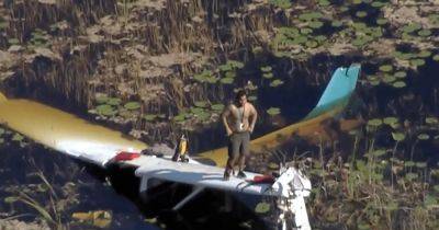 Пилот разбил самолет и провел ночь в болоте с аллигаторами (видео) - focus.ua - США - Украина - шт.Флорида - округ Юго-Западный
