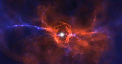 Астрономы обнаружили очень редкую звезду: она имеет особую химию - focus.ua - Украина - Чили