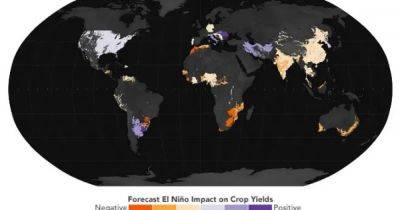 110 млн человек под угрозой. Эль-Ниньо вызовет сильные дожди и принесет голод - focus.ua - Украина