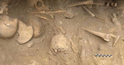 Мексика - Клад народа облаков: археологи нашли гробницу исчезнувшей цивилизации (фото) - focus.ua - Украина - Mexico - Находка