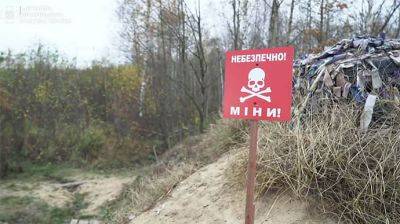 Рвы, мины и бетонные блоки: пограничники показали, как выглядит граница с Беларусью - pravda.com.ua - Белоруссия