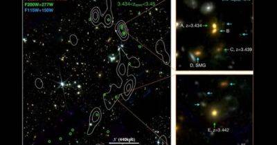Джеймс Уэбб - Вселенная - "Космическая лоза" длиной 13 млн световых лет: обнаружена необычная мегаструктура в космосе (фото) - focus.ua - Украина