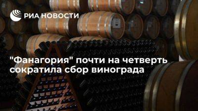 Урожай винодельни "Фанагория" в 2023 году сократился почти на 22% из-за засухи - smartmoney.one - Россия - Китай - Краснодарский край - Казахстан - Белоруссия