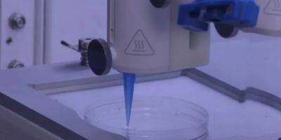 Победа над облысением. Ученые напечатали волосяные фолликулы на 3D-принтере - nv.ua - США - Украина