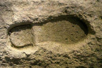 Ученые нашли следы обуви, которую люди могли носить 150 тысяч лет назад – фото - apostrophe.ua - Украина - Юар - Йоханнесбург