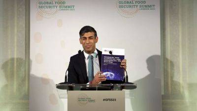 Риши Сунак - Сунак предлагает использовать ИИ в борьбе с недоеданием в мире - ru.euronews.com - Англия - Лондон - Эмираты - Сомали