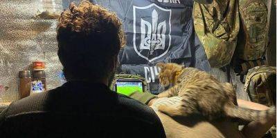 Прямо из блиндажа! Военные ВСУ показали, как вместе с котом болели за сборную Украины — фото - nv.ua - Украина - Италия