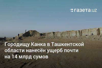Городищу Канка в Ташкентской области нанесён ущерб почти на 14 млрд сумов - gazeta.uz - Узбекистан