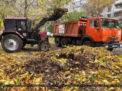 Из Харькова вывезли более 70% опавших листьев (фото) - objectiv.tv - Харьков