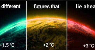Мрачное будущее на раскаленной Земле: мир приближается к 3 градусам потепления - focus.ua - Украина
