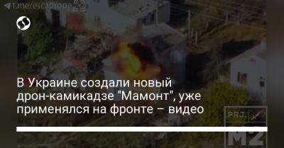 В Украине создали новый дрон-камикадзе "Мамонт", уже применялся на фронте – видео - liga.net - Украина