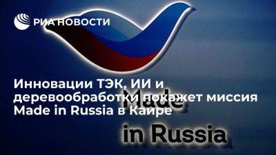 Инновации ТЭК, ИИ и деревообработки покажет миссия Made in Russia в Каире - smartmoney.one - Россия - Египет - Каир