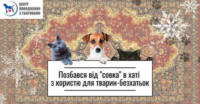 В Харькове просят горожан приносить ковры для утепления вольеров для животных - objectiv.tv - Харьков