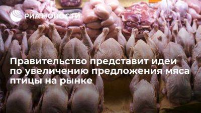 Владимир Путин - Михаил Мишустин - Путин поручил представить идеи по увеличению предложения мяса птицы на рынке - smartmoney.one - Россия