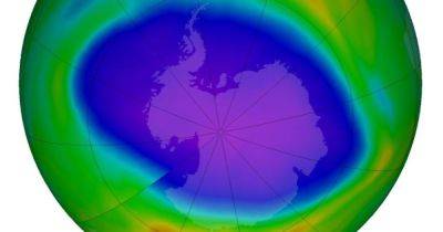 Вдвое больше Антарктиды: что-то заставляет гигантский разрыв в атмосфере Земли неумолимо расти - focus.ua - Украина - Новая Зеландия - Антарктида