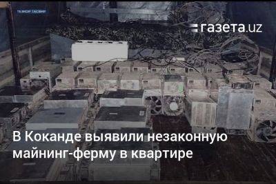 В Коканде выявили незаконную майнинг-ферму в квартире - gazeta.uz - Узбекистан