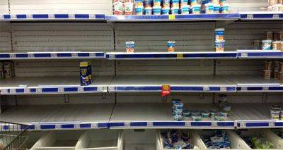 В АТБ рассказали, что все из-за поляков: некоторые продукты станут дефицитом - cxid.info - Украина - Венгрия - Словакия