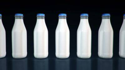 Рост производства молока в ЕС в 2022 году остановился — Евростат - produkt.by - Италия - Белоруссия - Германия - Франция - Польша - Испания - Голландия - Ирландия - Ес