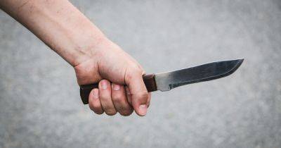 В Ирландии после нападения с ножом на детей произошли беспорядки - dsnews.ua - Украина - Италия - Ирландия - Алжир - Нападение
