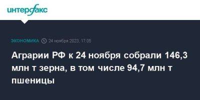 Аграрии РФ к 24 ноября собрали 146,3 млн т зерна, в том числе 94,7 млн т пшеницы - smartmoney.one - Москва - Россия