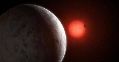 Вращаются вокруг красных гигантов. Астрономы обнаружили два горячих Юпитера: в чем особенность - focus.ua - Украина