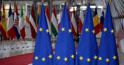 Некоторые страны ЕС против усиления борьбы с обходом санкций против РФ, — Bloomberg - dsnews.ua - Россия - Украина