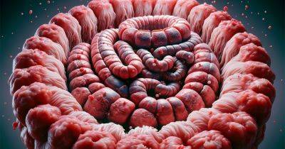 В поисках лекарств от рака. Ученые создали микроскопический человеческий кишечник - focus.ua - Украина - шт. Южная Каролина