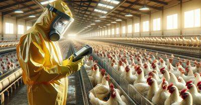 В зоне риска миллионы животных: в Японии произошла новая вспышка птичьего гриппа - focus.ua - Украина - Токио - Япония