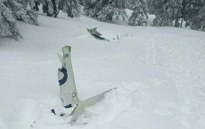 В горах Австрии разбился самолет, четыре жертвы - korrespondent.net - Австрия - США - Украина - Бразилия - Хорватия - Чехия - штат Гавайи