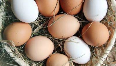 Что будет с ценами на яйца, мясо и крупы: украинцам рассказали, к чему нужно готовиться - hyser.com.ua - Украина