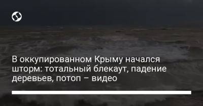 В оккупированном Крыму начался шторм: тотальный блекаут, падение деревьев, потоп – видео - liga.net - Украина - Крым - Керчь - Саки